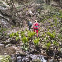 Ferrata Rio Sallagoni