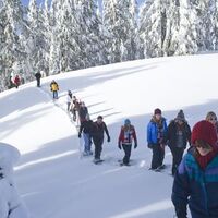 Schneeschuhwandern