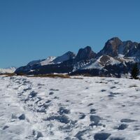 Schneeschuhtrail-Panoramawegtrail