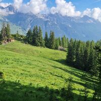Die Lichtung oberhalb der Hochwaldhütte