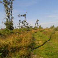 Grasweg am Wanderweg W8 in Willingen