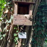 Vogelhäuschen