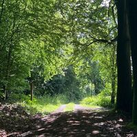 RI15 Schullandheim Route Sonnenstrahlen