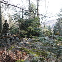 Abstieg, im Kleinmariazeller Forst