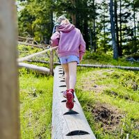 Spiegelinas Lieblingsroute - Holzweg