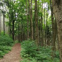 Rund um den Kulm bei Saalburg
