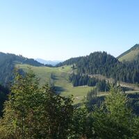 Abstieg am Sohlenkogel