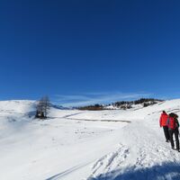 Labenberg mit Dachsteinblick