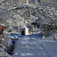 Kurz verharren in der winterlichen Idylle.