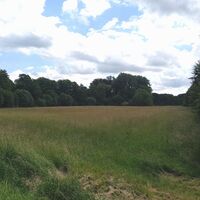 Glimke Naturschutzgebiet am Sole-Radweg nördlich Bad Salzuflen