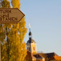 Im Herbst regieren Sturm und Kastanien