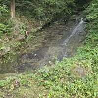Plattabach