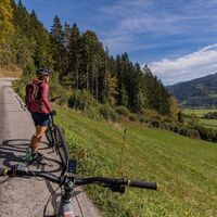Straßenverlauf Richtung Birnberg