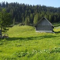Dürrensteinalm