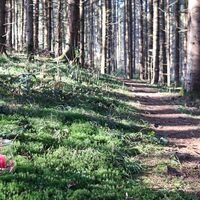 winterwanderung in seckau_img_55119709