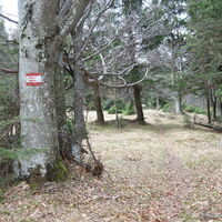 Wiese am Rücken der "Dürren Wand"