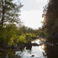 Wiese bei Schopfheim mit Abendstimmung