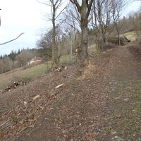 Aufstieg am Adolf-Müller-Weg