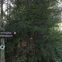 Unterwegs zur Raubritterburg Wysburg
