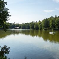 Jägersburger Weiher, Homburg, 2021, Manuela Meyer