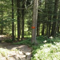 Ellmau_11er-Kaiserblick-Runde_Wilder Kaiser