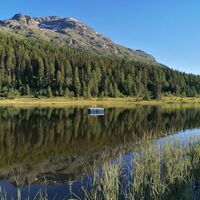 Stazersee