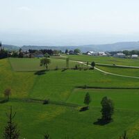Herzsteinweg