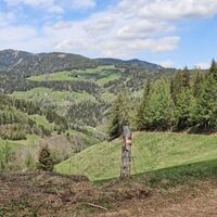 Der Weg ist gut  markiert