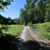 Der Blick zurück von Sonnleithen auf den Forstweg