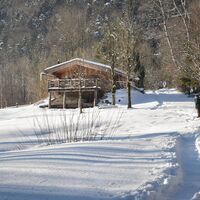 Winterwandern am Reintalersee in Kramsach