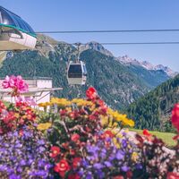 Alpe Lusia - Moena ©Archivio APT Val di Fassa