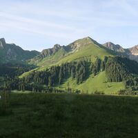 Aussicht unter Selibühl - Gantrisch Bike-Panoramaweg