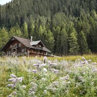 Almgelände Holzalm