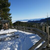 Schneeschuhtrail Schwarzenbühl-Panoramatrail