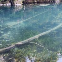 Unterer Lagho di Fusine