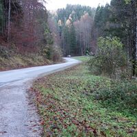wieder zurück
