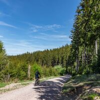 Mountainbiker zur Schlossbergkanzel bei Oberhof und Lütschetalsperre