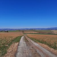 Blick zurück