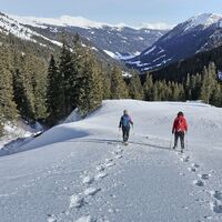 Zurück geht es wieder über die Alm