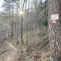 Kreuzung Cotantin Weg