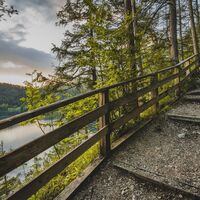 Scheffau_Hintersteiner See_Waldweg_Stufen_Sommer