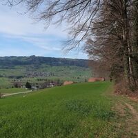 Weg Gelterfingen - Belpberg-Chutzen Wanderung