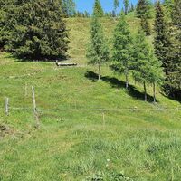 15.5 km Aufnahme vom Beginn der Forststraße hinauf