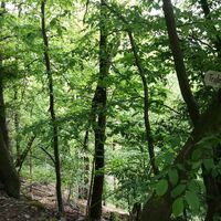 Von Ziegenrück zur Fernsicht