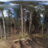 35.3 km Abzweigung in Wald 1.5 km vor Geierschlag