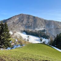 Steinköpfl-Trail - Molln