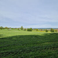 Karlsbader Wiesen im Frühling