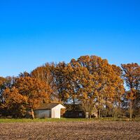 Der Schafstall Unterstedt im bunten Herbstkleid 