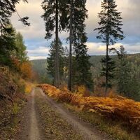 Wanderung Kälbertal im Oktober 2020