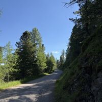 Im kühlen Morgenschatten gehts weiter leicht bergauf